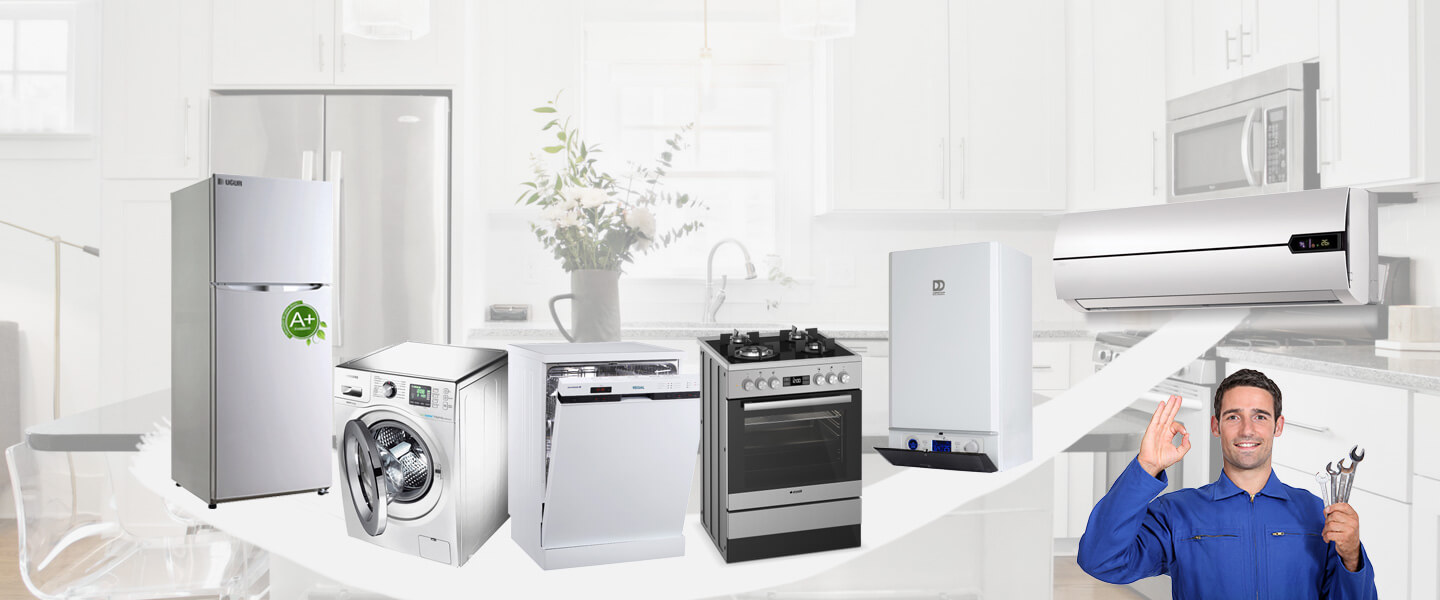 Bitlis Gaggenau Servisi